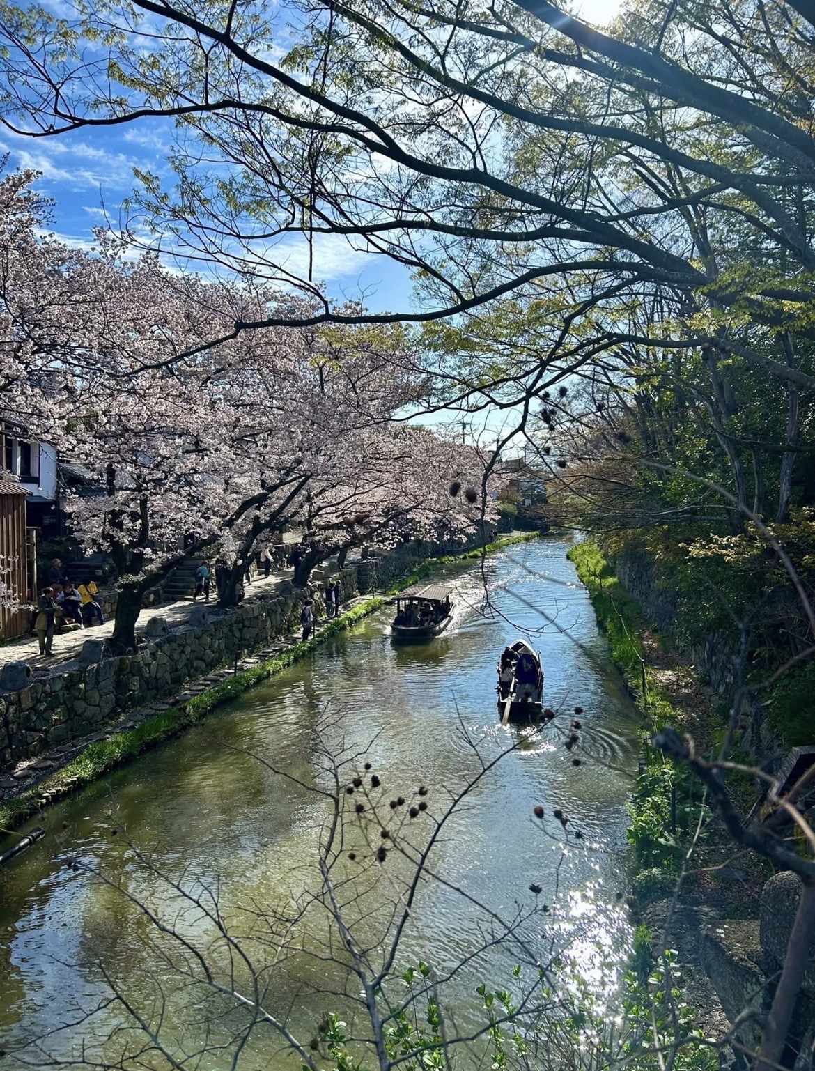A Japanese castle