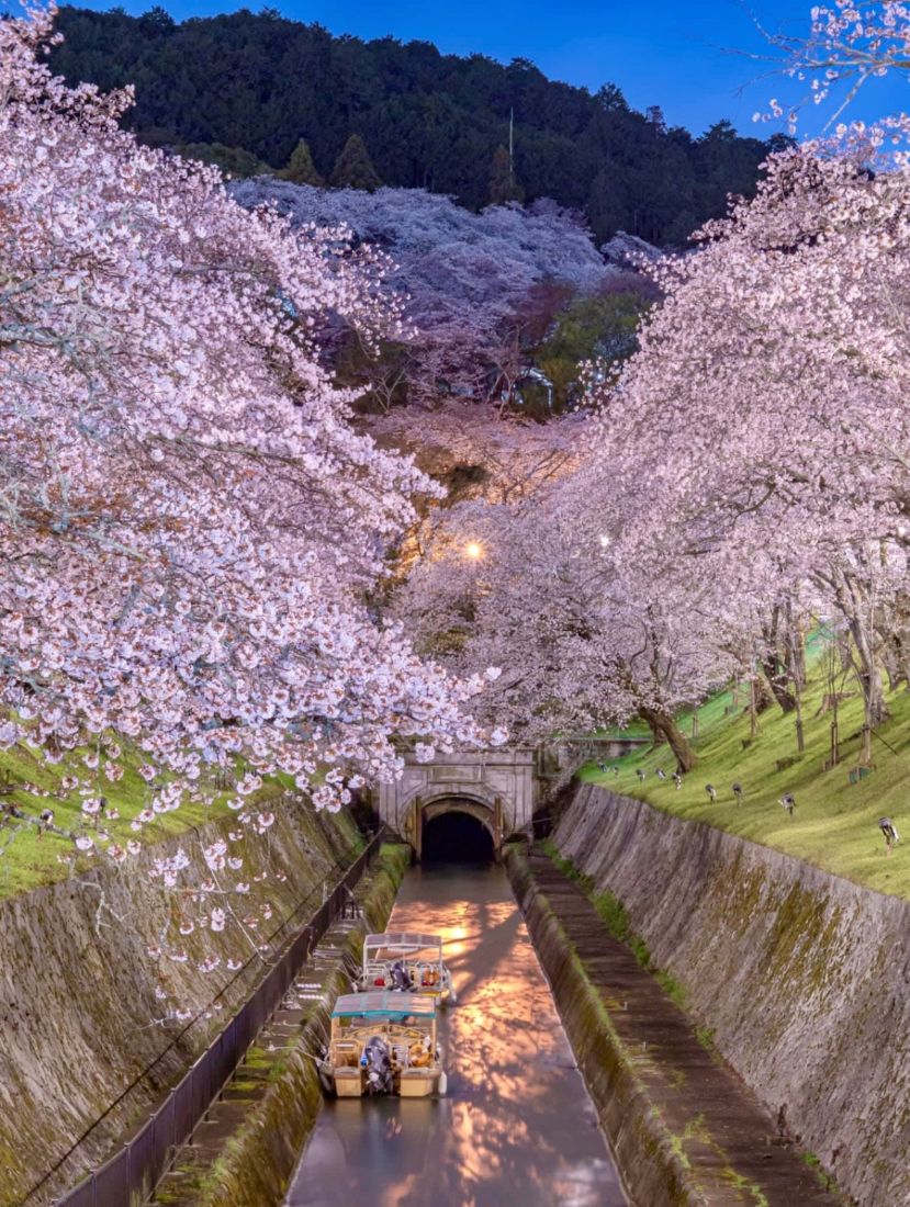 Lake Biwa Canal & Miidera Temple